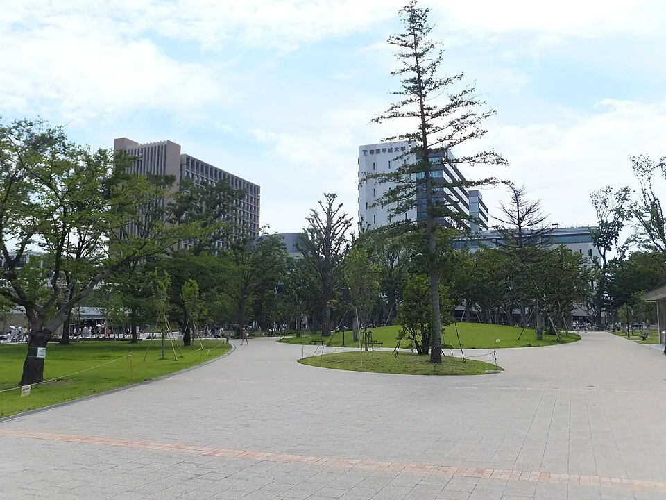 2013年の中野四季の森公園の道と木々