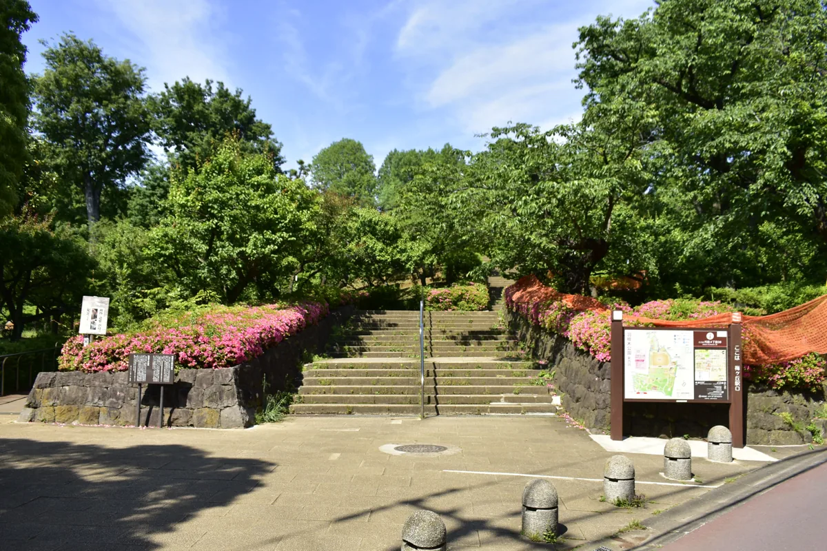 緑の木々と階段がある羽根木公園の入口
