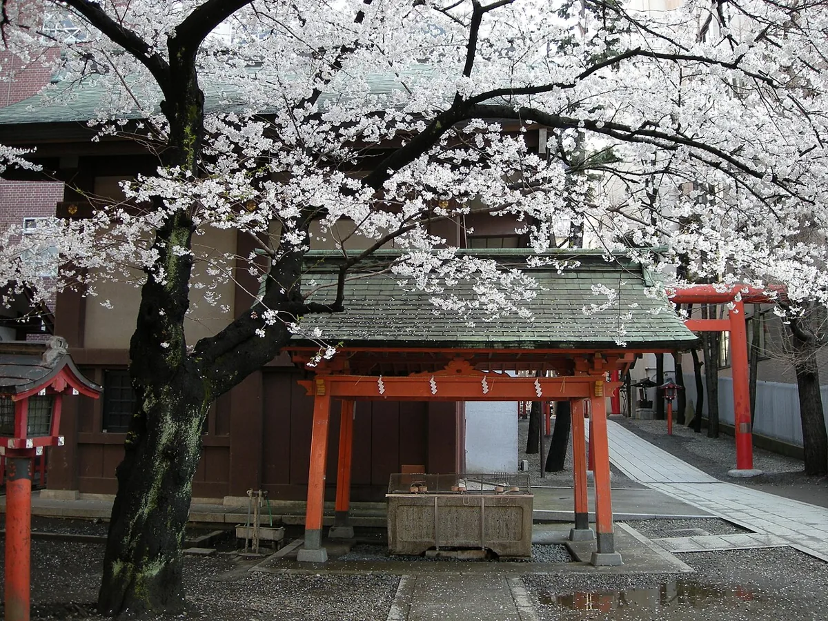 花園神社の境内の建物と2008年春の桜