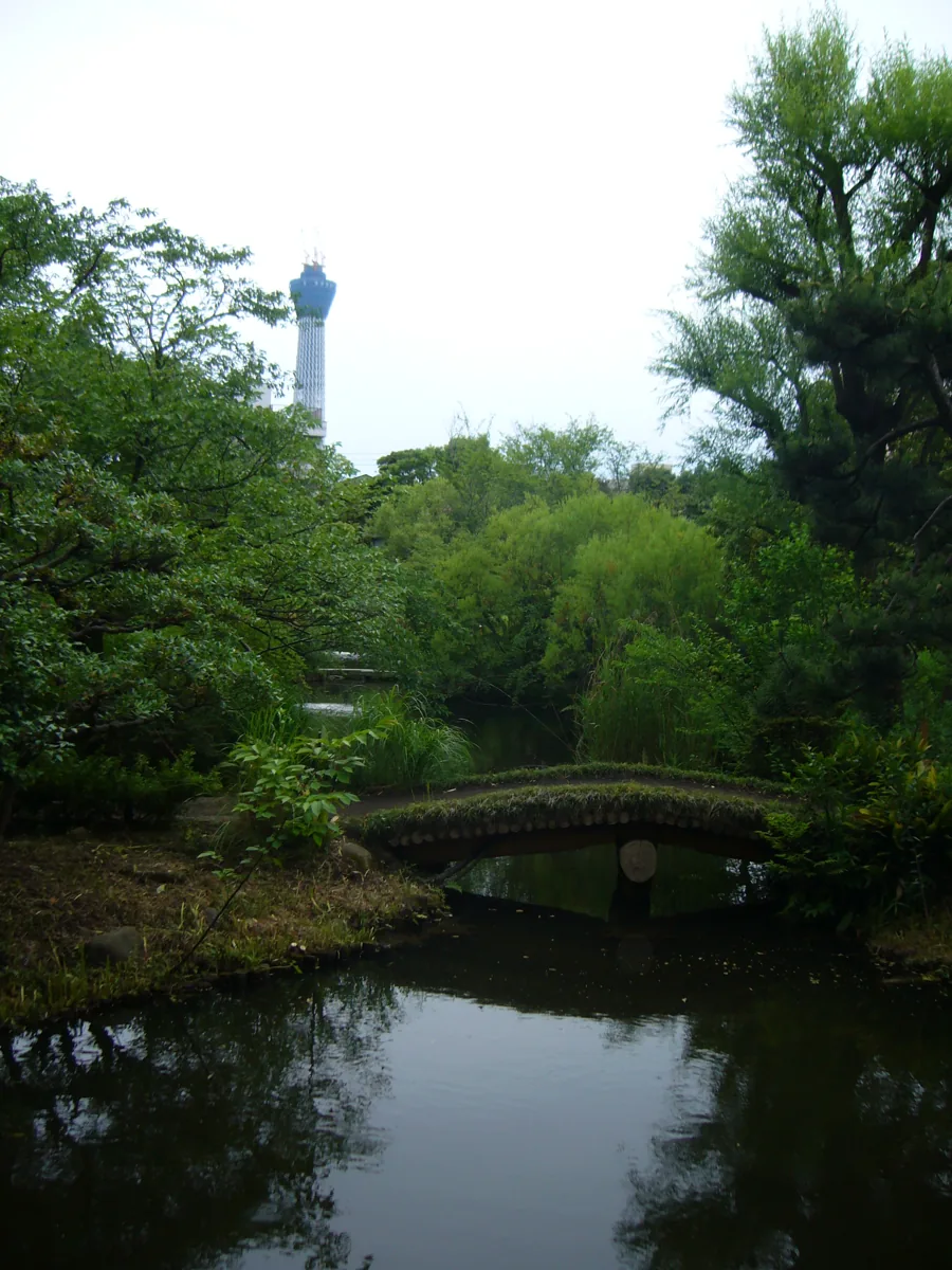 2010年の向島百花園の池と木々、奥の建設中の塔