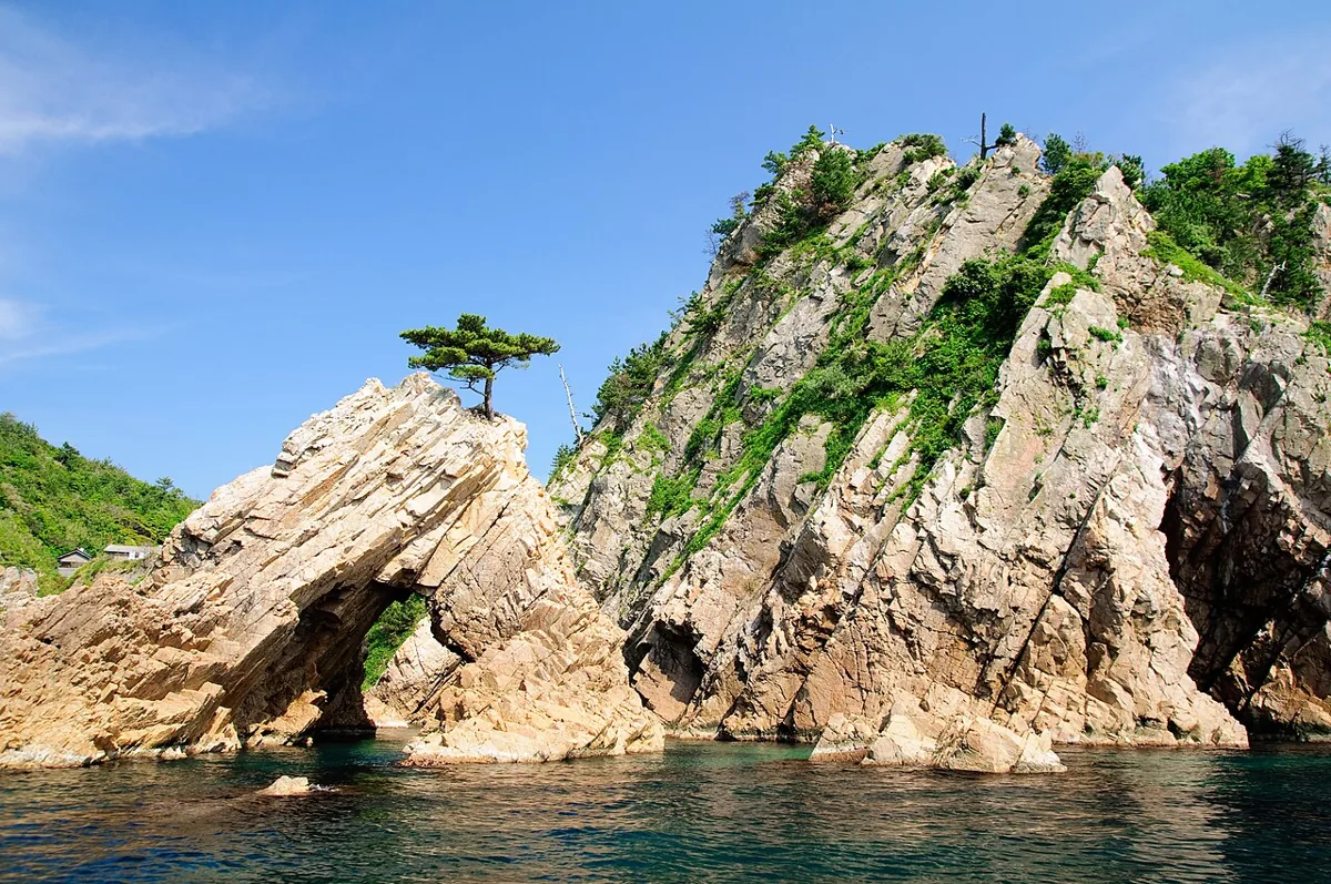 2010년 우라도메 해안 센간마쓰시마의 소나무와 바위