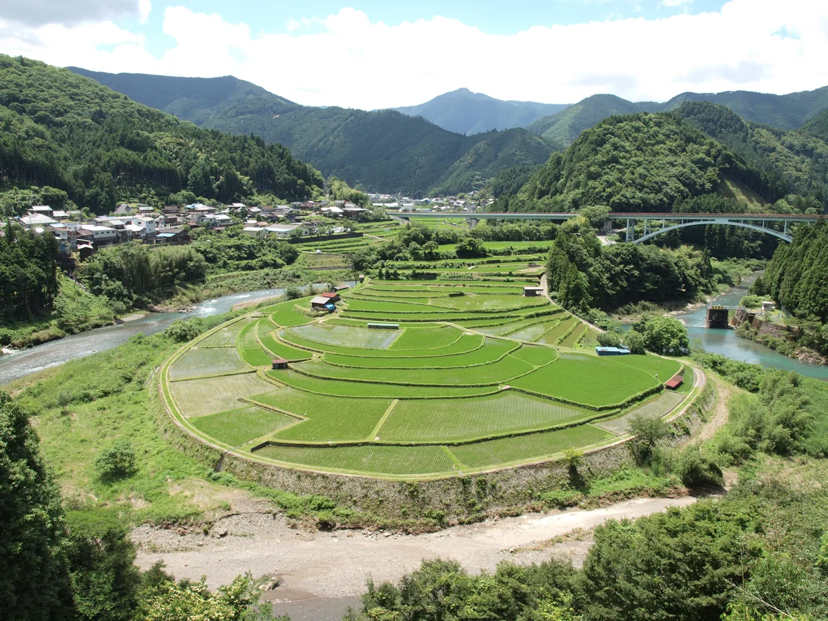 あらぎ島の棚田と川、2011年6月