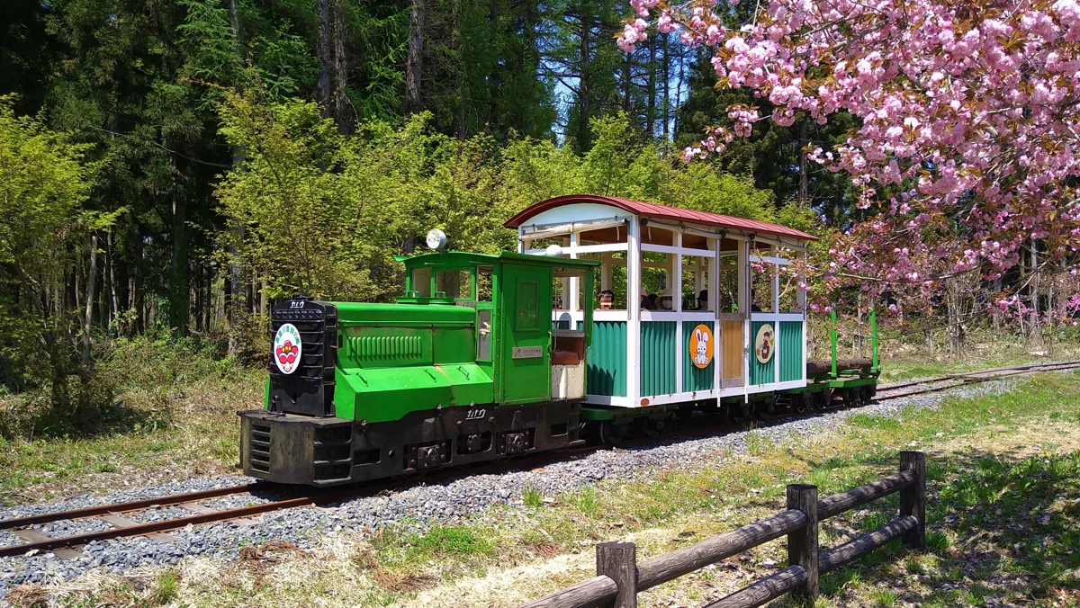 2022年の真室川森林鉄道の列車