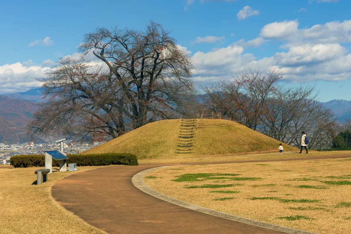 盃塚古墳の草に覆われた円形の丘