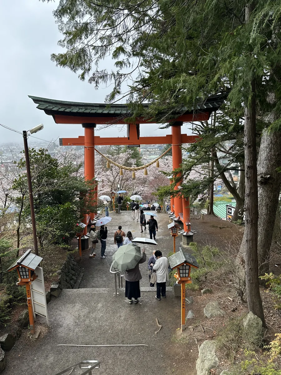 公園下の神社参道の鳥居と階段