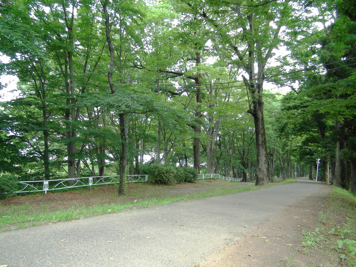 2010년 신겐제 안쪽의 숲