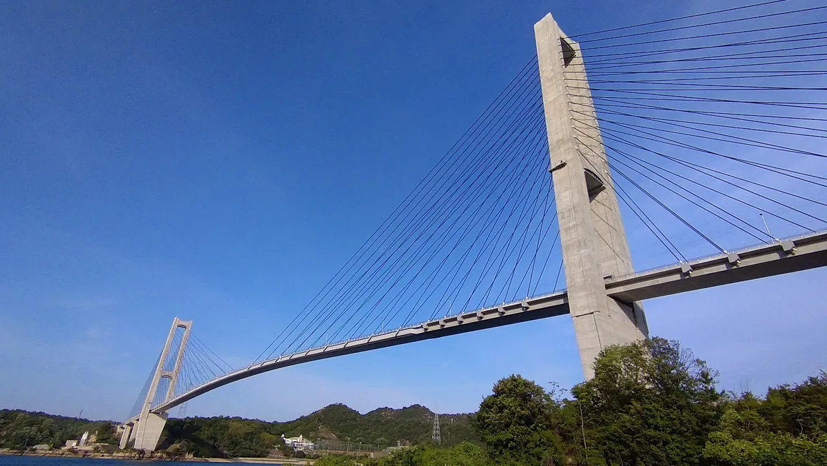 2022년 5월 이와기교