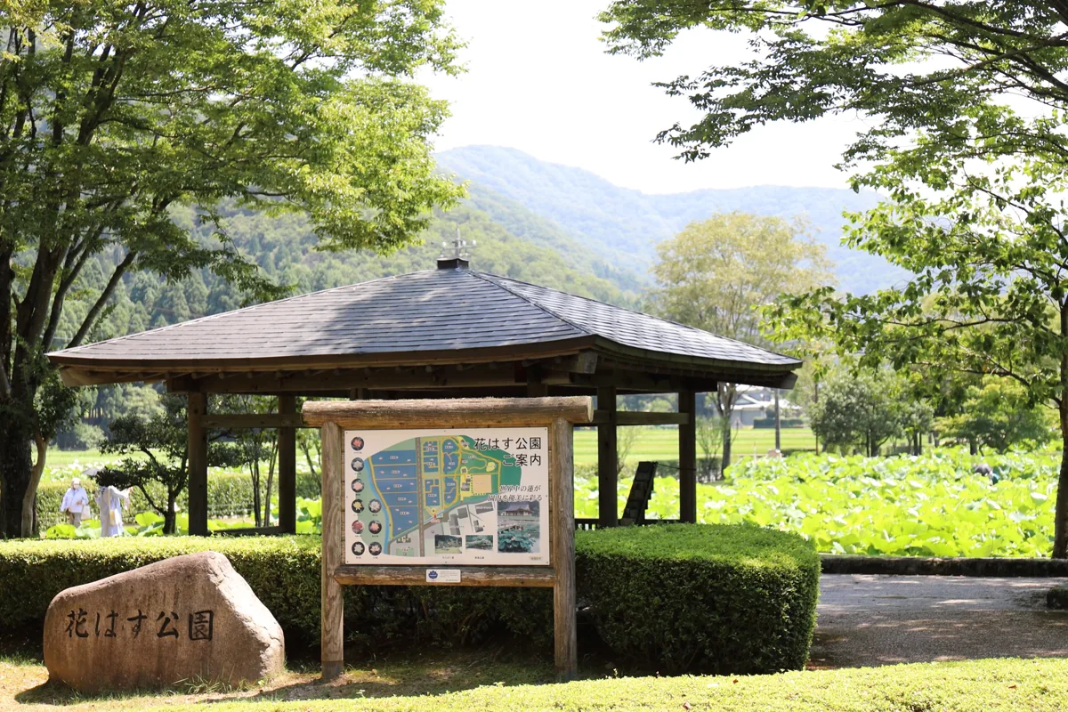 2021년 하나하스 공원 입구