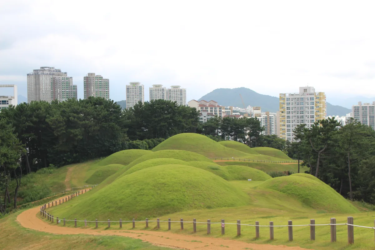 2018年8月の蓮山洞古墳群の墳丘と都市風景