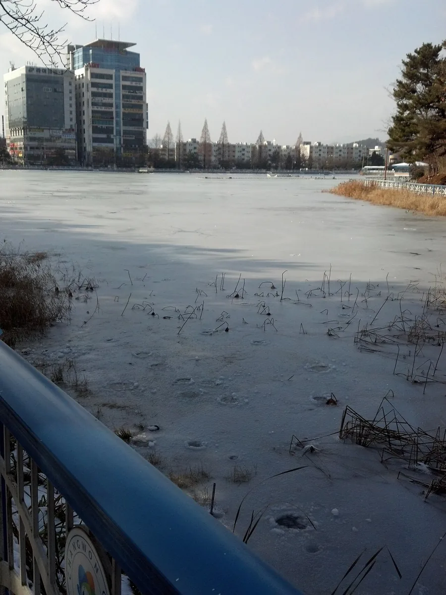 2012年12月撮影の昌原・龍池湖の凍った水辺