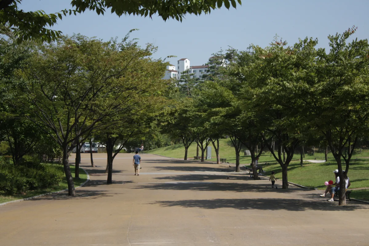 2010년 부평공원의 나무와 산책길