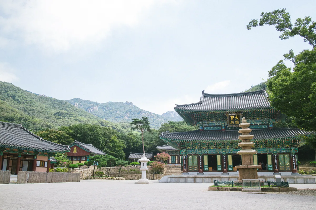 2016년 도갑사 오층석탑과 뒤편 대웅보전