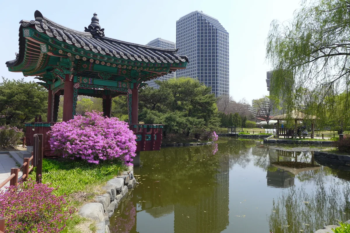汝矣島公園の写真