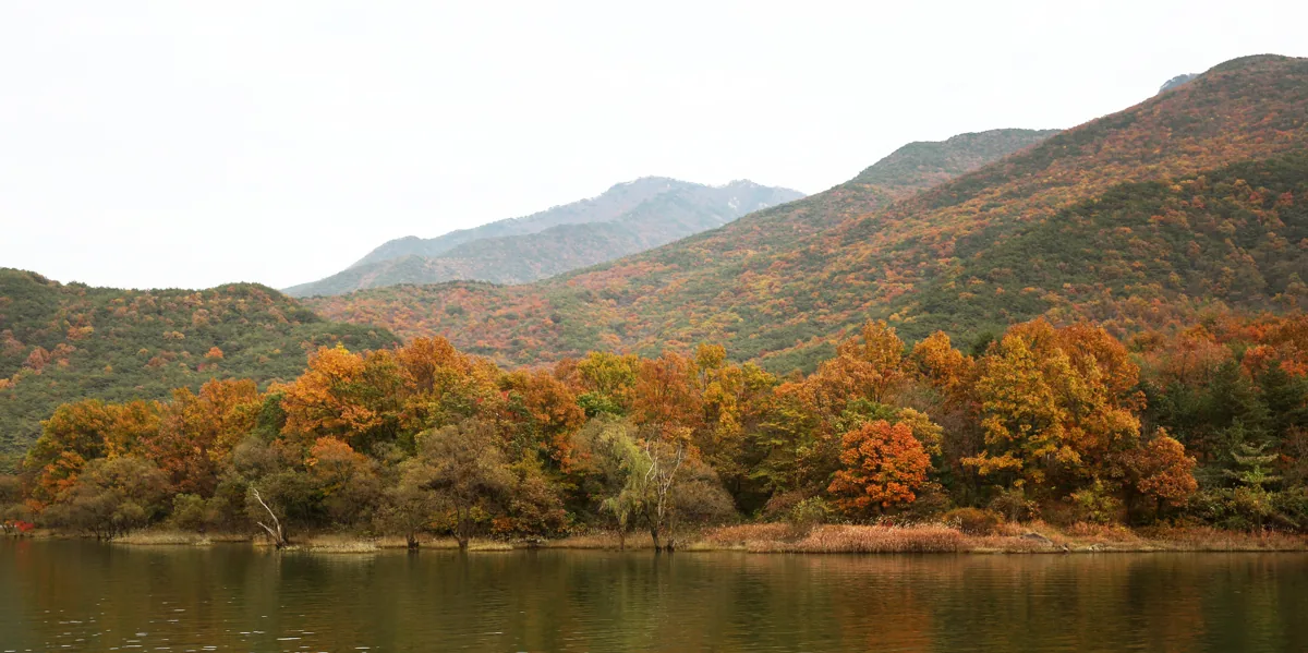 2014년 산막이옛길에서 본 호수 건너편 가을 산