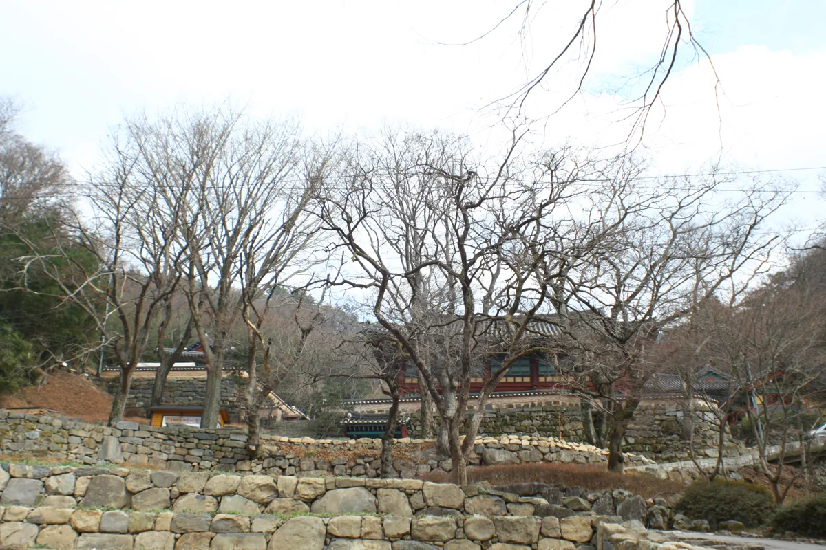 2010년 등산로 쪽에서 본 증심사