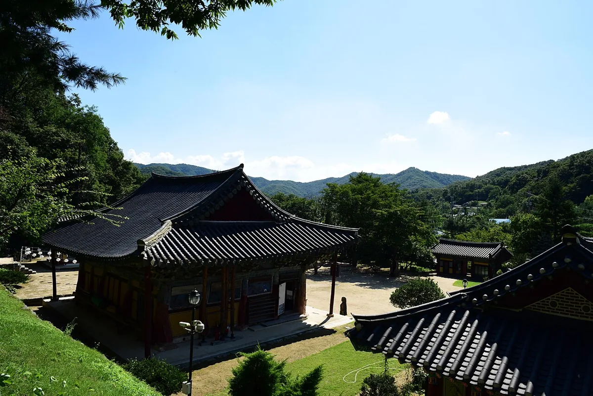 2015년 뒤쪽 높은 곳에서 본 청룡사 대웅전 주변