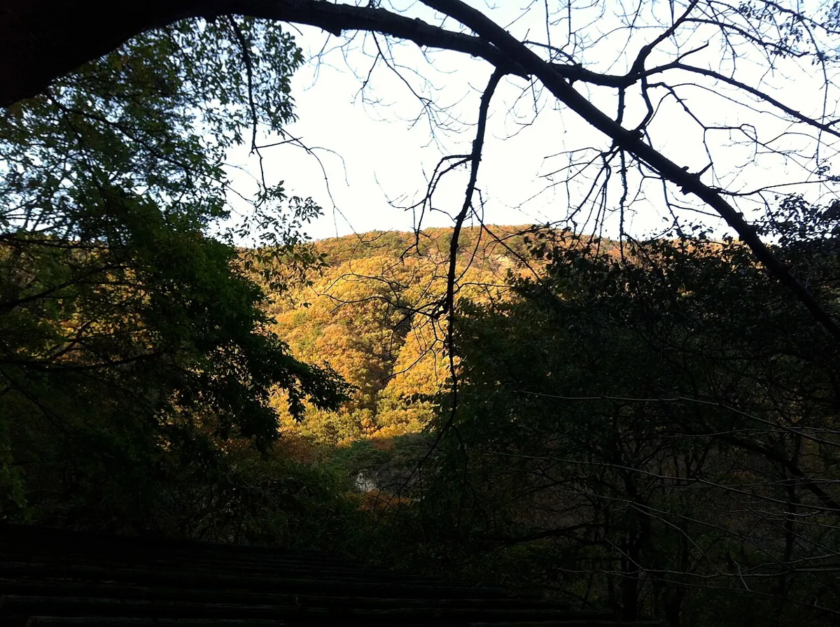 2011년 소요산 숲과 산자락