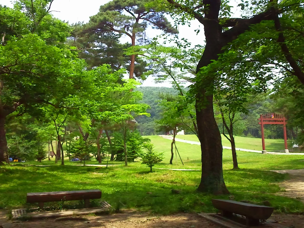 2011年の金浦章陵の木々と見学区域