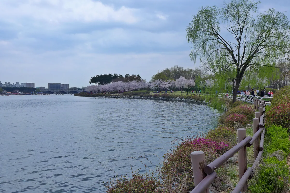 Water, trees and a path at Ilsan Lake Park